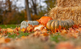 Prognoza meteo pentru 10 octombrie