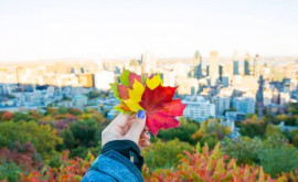 Prognoza meteo pentru 24 octombrie