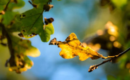 Prognoza meteo pentru 27 octombrie