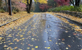 Prognoza meteo pentru 1 noiembrie