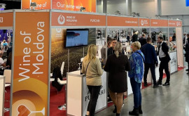 Vinul Moldovei a debutat cu succes la Enoexpo Krakow