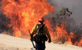 Căldura extremă riscă să provoace de cinci ori mai multe decese pînă în 2050 