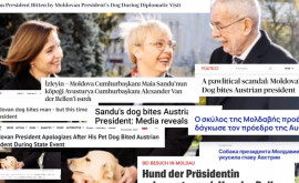 Что написали международные СМИ об инциденте с президентом Австрии и первой собакой Молдовы