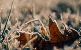 Prognoza meteo pentru 20 noiembrie