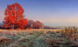 Prognoza meteo pentru 21 noiembrie