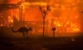 Australia Pompierii luptă cu incendiile de vegetaţie pe fondul unui val de căldură neobişnuit în timpul primăverii australe