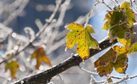 Prognoza meteo pentru 25 noiembrie