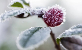 Prognoza meteo pentru 8 decembrie