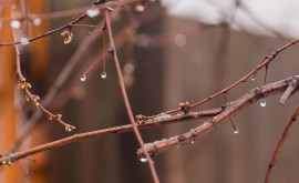 Prognoza meteo pentru 13 decembrie