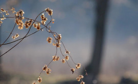 Prognoza meteo pentru 15 decembrie