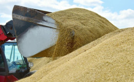 Cerealele ucrainene au generat o activitate record în portul Constanţa