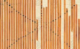 Загадка древнекитайских бамбуковых пластин расшифрована учеными 