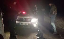 Задержаны два сотрудника Бельцкого лесхоза 