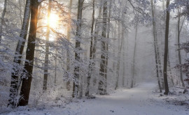 Prognoza meteo pentru 10 ianuarie