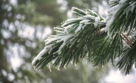 Prognoza meteo pentru 17 ianuarie