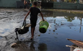 Ploile torențiale fac prăpăd în Brazilia