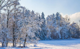 Prognoza meteo pentru 16 ianuarie