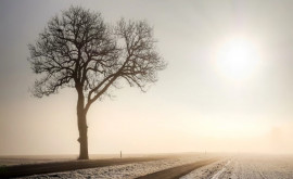 Prognoza meteo pentru 20 ianuarie