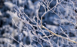 Prognoza meteo pentru 23 ianuarie