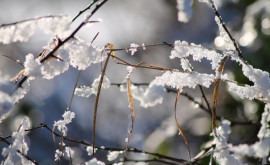 Prognoza meteo pentru 27 ianuarie