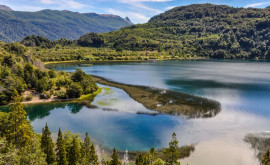 Un incendiu a distrus un parc natural înscris în patrimoniul UNESCO