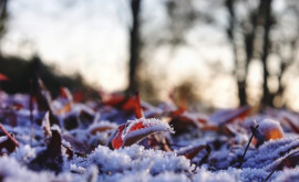 Prognoza meteo pentru 2 februarie