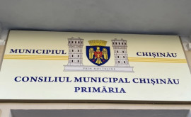 În cadrul ședinței CMC de astăzi au fost constituite trei formațiuni 