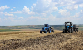 Serviciul Fiscal vine cu precizări privind Programul de rambursare a TVA pentru producătorii agricoli