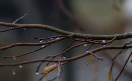 Prognoza meteo pentru 6 februarie