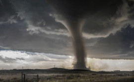 O fotografie luată de tornadă a revenit la stăpîna sa după 16 ani