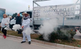 Apicultorii greci au protestat la Atena