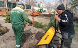  В столице полным ходом идет весенняя санитарная кампания 