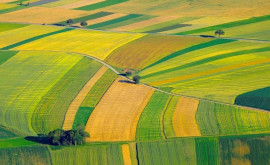 Decizie importantă pentru proprietarii de terenuri agricole