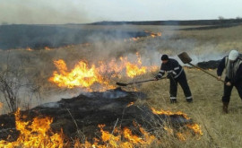 Многие граждане оштрафованы за поджог сухой растительности