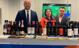 Вина Молдовы представлены на международной выставке Vinitaly