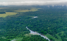 Alunecări de teren în Congo zeci de morți și dispăruți