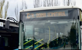 Vezi cum va circula transportului public de Paștele Blajinilor