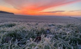 Meteorologii au emis cod galben de îngheț