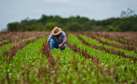 Moldova și Lituania își extind cooperarea în domeniul agriculturii