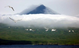 Japonia dezaprobă atribuirea unor nume pentru cinci insule din Arhipelagul Kurile