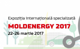 Открывается выставка MOLDENERGY