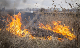 53 de incendii de vegetaţie lichidate în ultimele 24 de ore