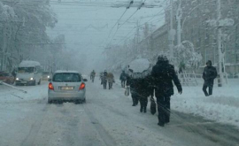 Disperați chișinăuienii sau pornit pe jos la muncă FOTO