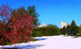 Grădina Botanică a devenit mai frumoasă şi mai puternică FOTO