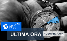 Ultima oră Un copac a doborît mortal un alt om Află în ce sector