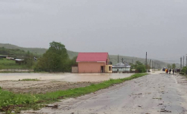 Вода уничтожила все их добро Наводнение в Чимишлии ВИДЕО