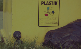 Власти начнут штрафовать за пластиковый мусор ВИДЕО