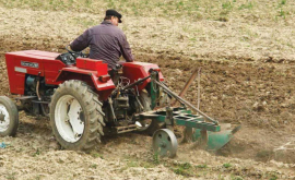 Producătorii agricoli vor primi doar 560 mil lei din fondul de subvenţionare