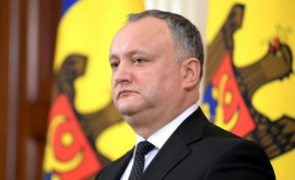 Dodon gata să meargă pînăn pînzele albe