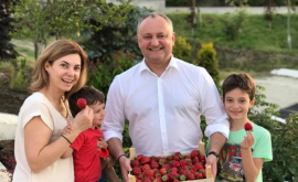 Reacția lui Dodon referitoare la vacanța sa de lux